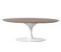 Eero Saarinen Tulip tabela | mesa de café Oval Tampo em nogueira base branca