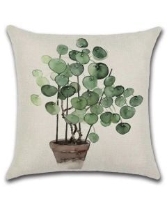 cushion cover Pancake plant