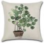 cushion cover Pancake plant