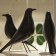 Eames House Birds black
